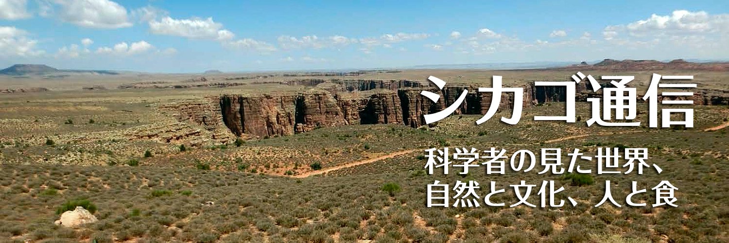 シカゴ通信 - グランドキャニオンの風景 世界旅行記